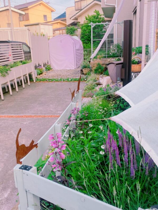 2025年ガーデンコンテスト投票 | 北山ナーセリー