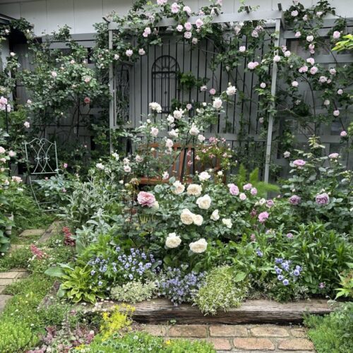 No'002/薔薇の香りに包まれる手づくりの庭　 〜私の秘密の花園〜