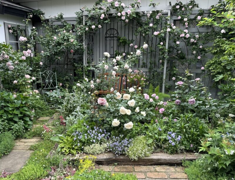 No'002/薔薇の香りに包まれる手づくりの庭　 〜私の秘密の花園〜