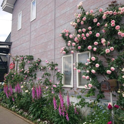 No'004/フロントガーデン