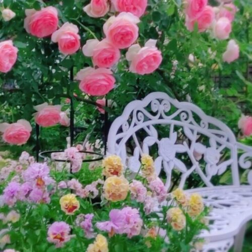 No'006/わが家の特等席