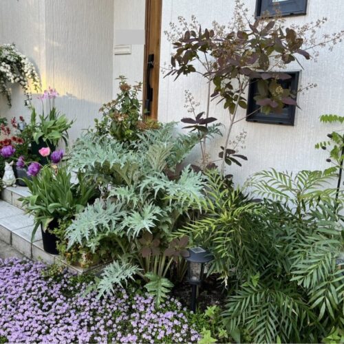 No'008/趣味は園芸と言いたくて