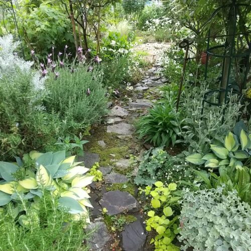 No'012/2025初夏のグリーンロード