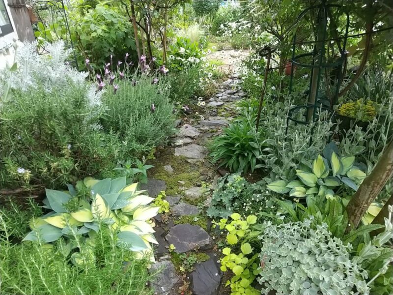 No'012/2025初夏のグリーンロード