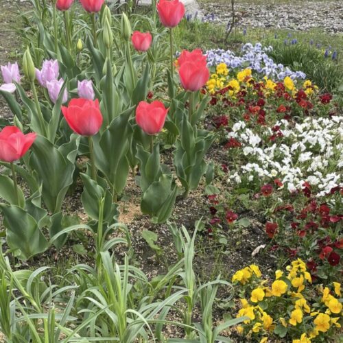 No'013/大好き！花達に夢中