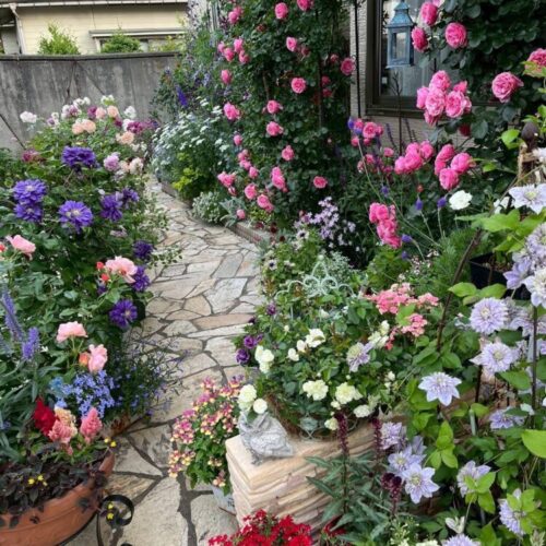 No'015/「花達が奏でるハーモニー」