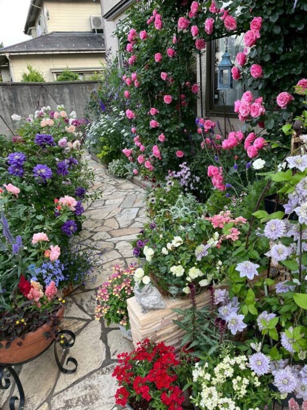 No'015/「花達が奏でるハーモニー」