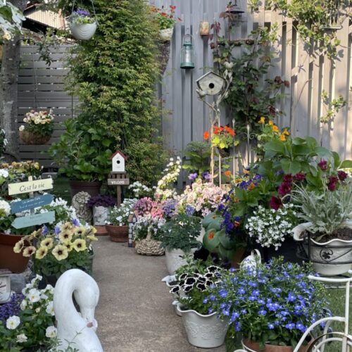 No'016/スワンと花咲く妖精の庭