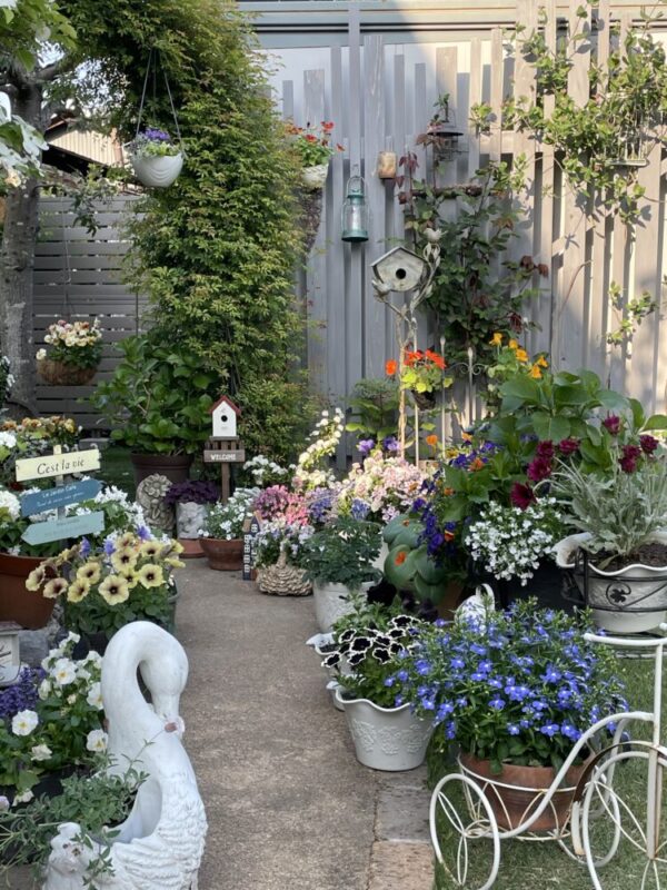 No'016/スワンと花咲く妖精の庭