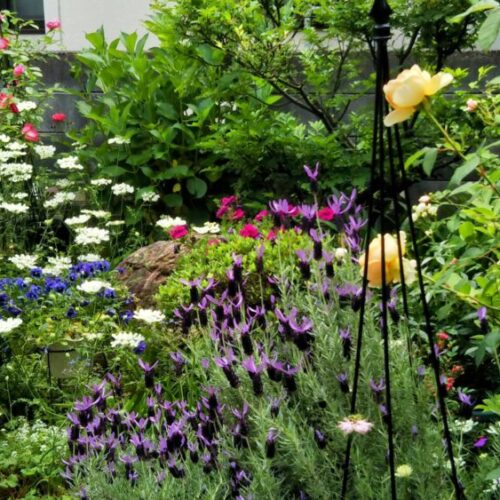 No'020/私の花園へどうぞ