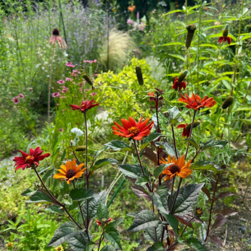 No'023/秘密の花園