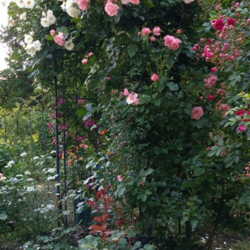 No'024/2025年が始まりましたよ