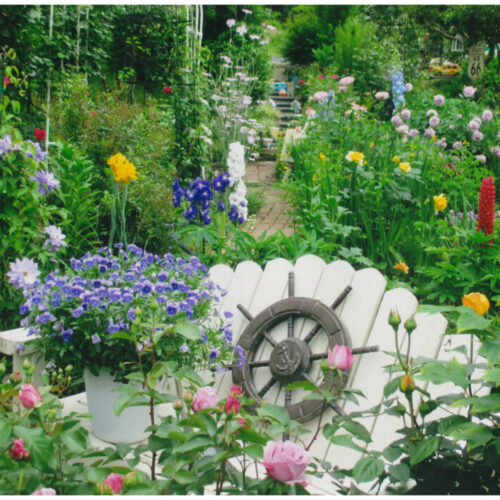 No'025/こびとの森へLet’s GO！！