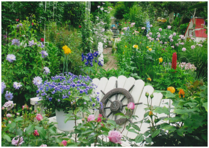 No'025/こびとの森へLet’s GO！！