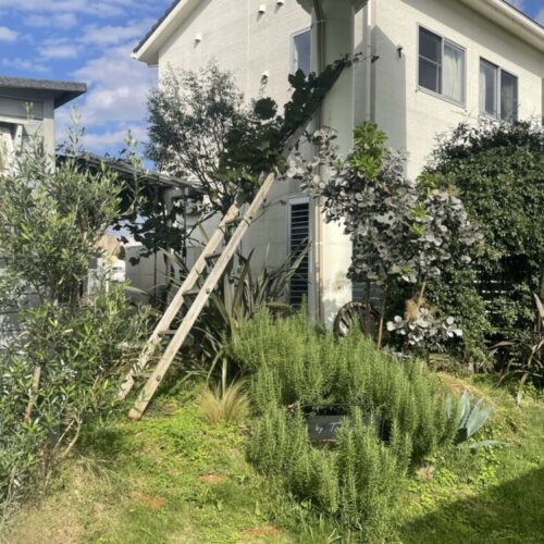 No'026/ナオチュラル　ガーデン