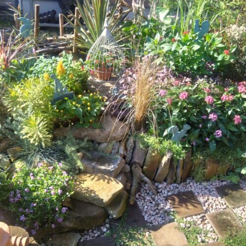 No'027/ワクワクが止まらないガーデニング二年生。モリモリ長持ちナチュラルガーデン🌼