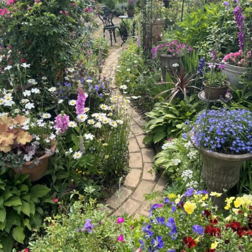 No'028/〜待ちわびた春〜　色とりどりの花たち