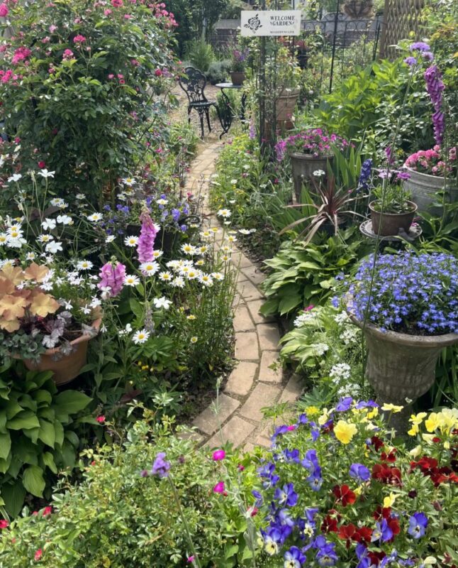 No'028/〜待ちわびた春〜　色とりどりの花たち