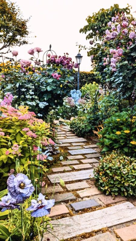 No'031/天使たちの笑い声〜バラの香りに誘われて〜