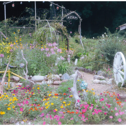 No'033/蝶がひらひら　蜂がぶんぶん