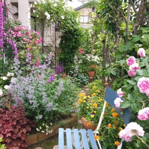 No'035/花いっぱい